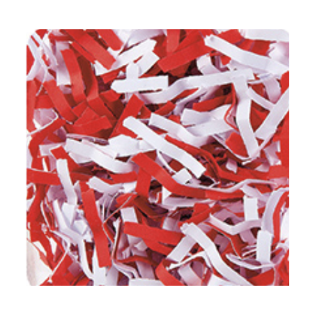 Destructeur de documents-AF500