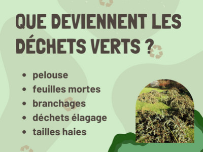 Que deviennent les déchets verts ?