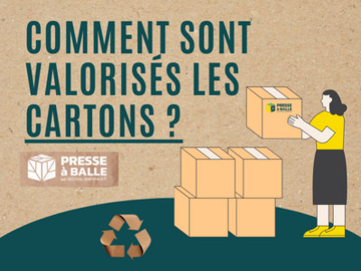 Comment sont traités les déchets cartons ? 