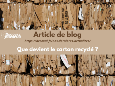 Carton recyclé : Que devient le carton recyclé ?